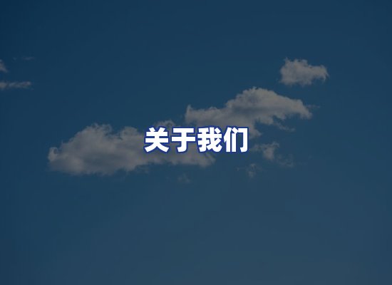 专业团队